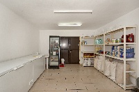 Patriarhia