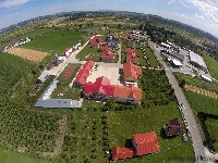 Patriarhia