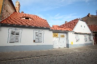 Patriarhia